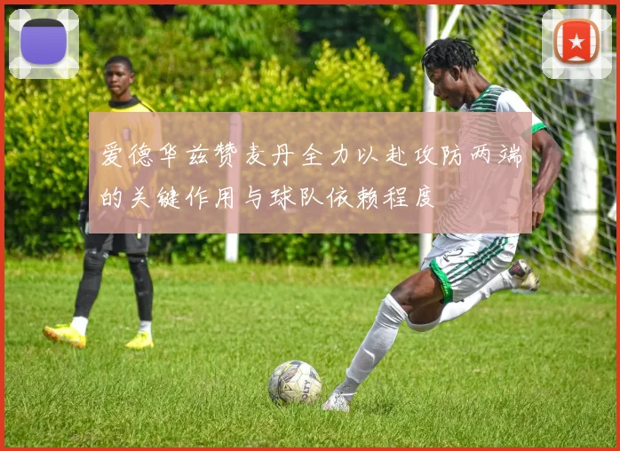 爱德华兹赞麦丹全力以赴攻防两端的关键作用与球队依赖程度